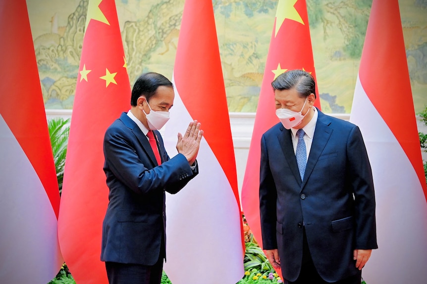 Indonesia's President Joko Widodo greets Chinese President Xi Jinping