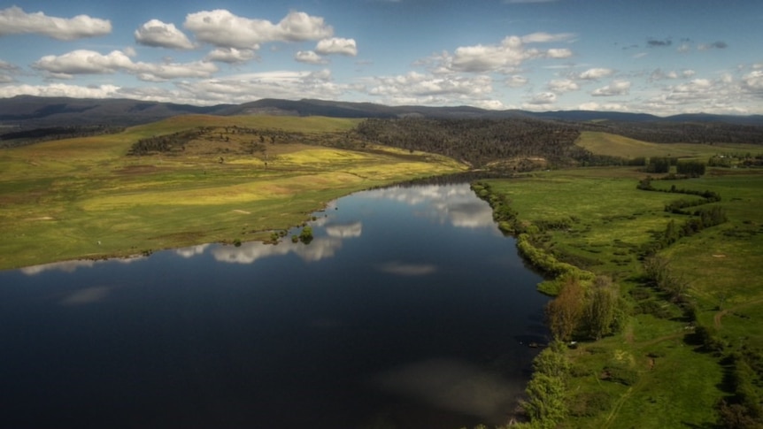 Meadowbank lake near Hamilton.