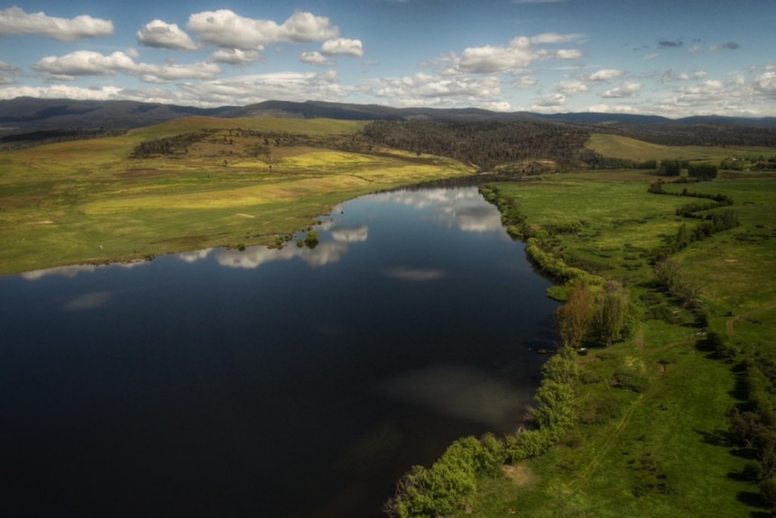 Meadowbank lake near Hamilton.