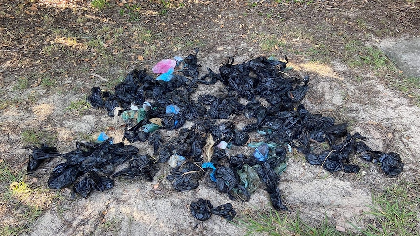 A pile of black dog poo bags