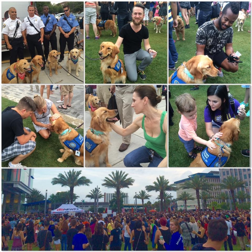 Comfort dogs at a candlelight vigil in Phillips Plaza in downtown Orlando.