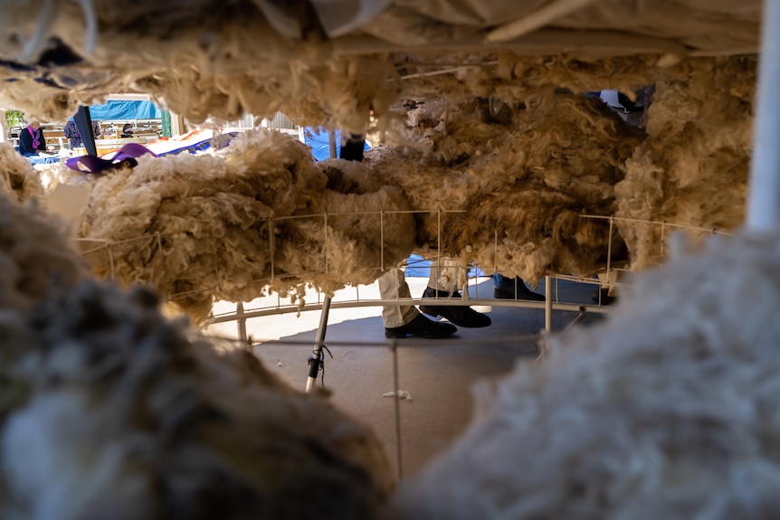 Wool at the Longreach show