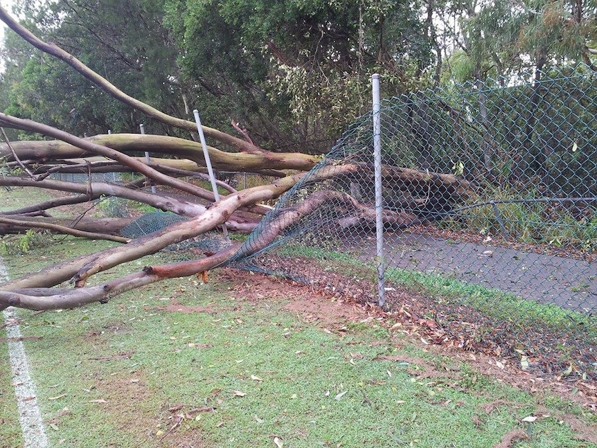 Enoggera Creek bike path fallen trees