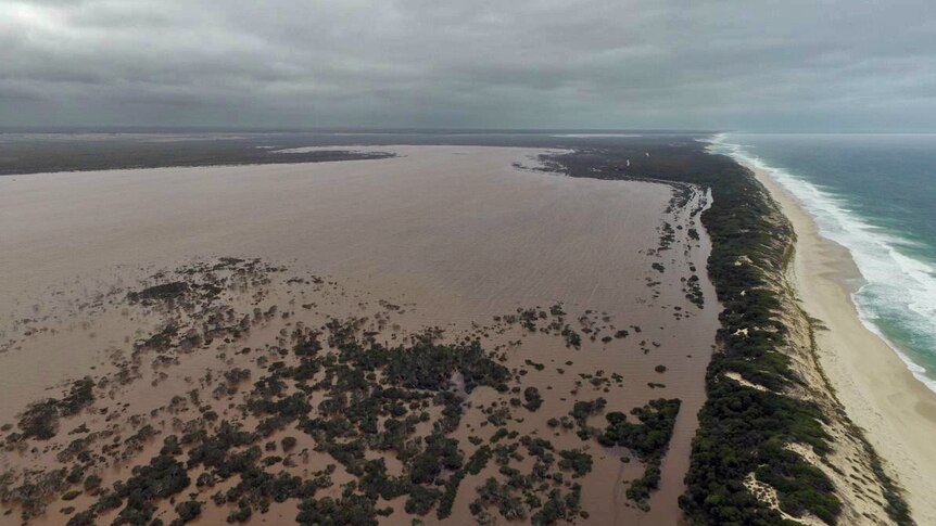 Flooded farmer in Western Australia appeals for help