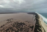 Flooded farmer in Western Australia appeals for help