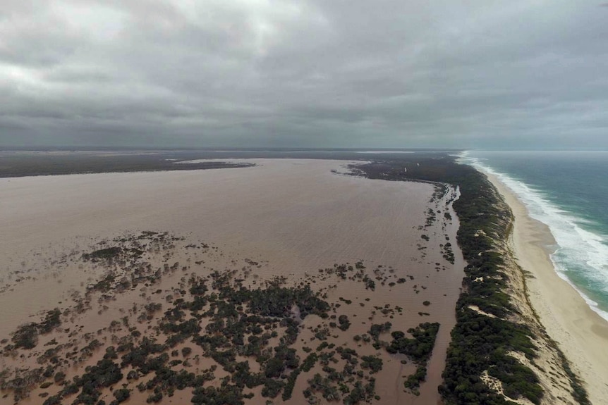 Flooded farmer in Western Australia appeals for help