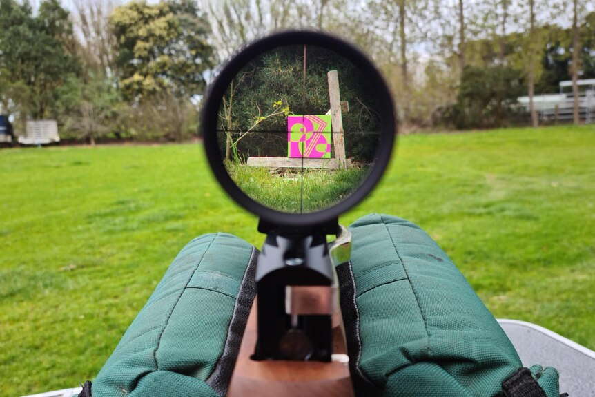 The sight of a gun, with a green and pink abstract piece of art in the crosshairs