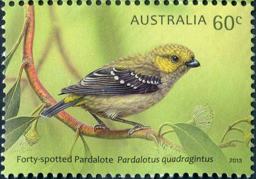 Australian stamp with a forty-spotted pardalote bird.