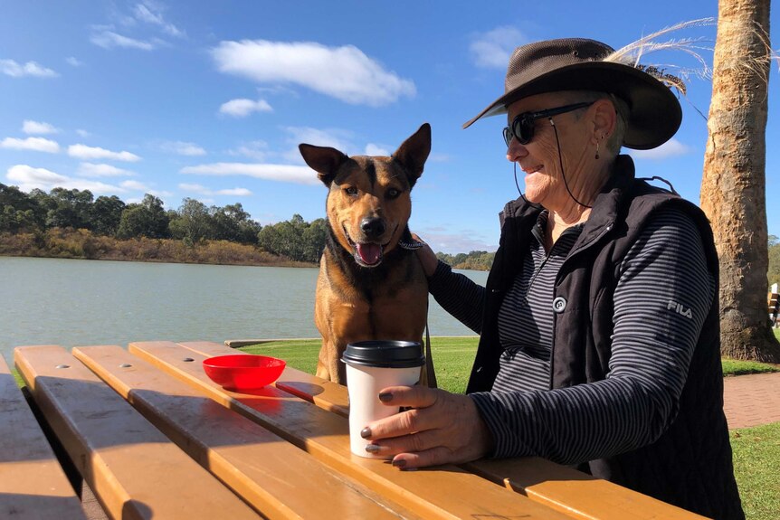 A smiling kelpie dog sits next to his owner on a park bench near the River Murray.