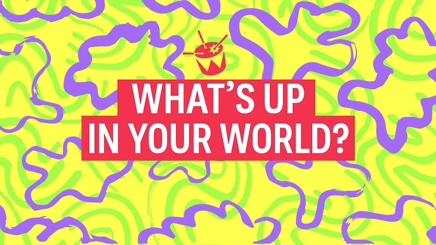 Whats up in your world 2019