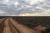 A landscape shot of a dry dusty road.