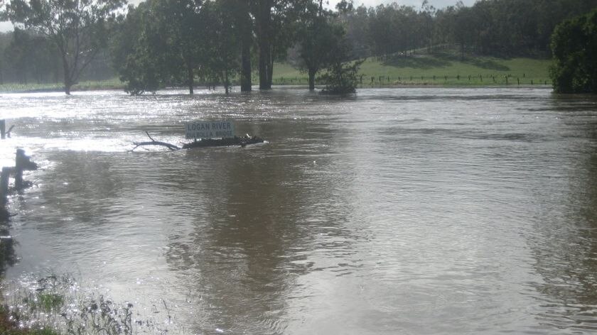 The Logan River floods at Rathdowney, upstream from Logan City.