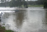 The Logan River floods at Dulbolla Bridge, Rathdowney.
