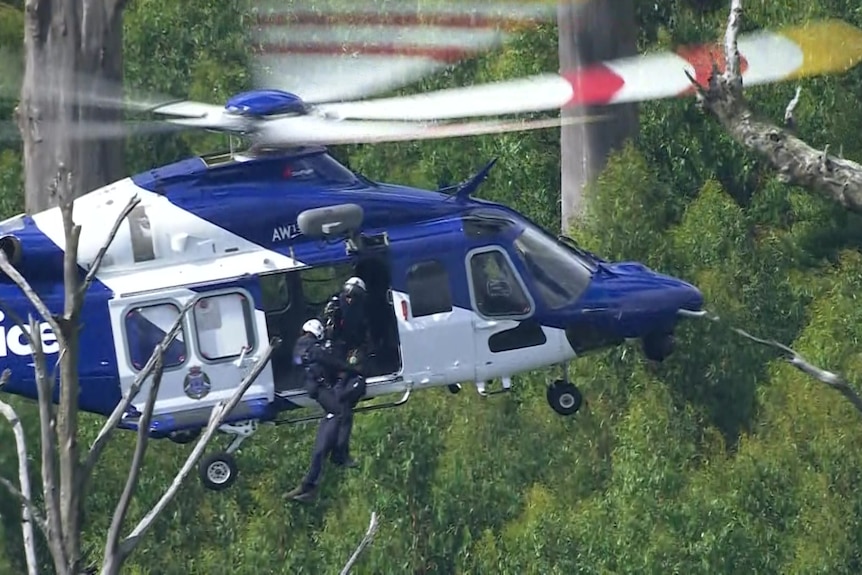 Officers lean out of the side of a police helicopter as it hovers over a dense green forest canopy in daylight.