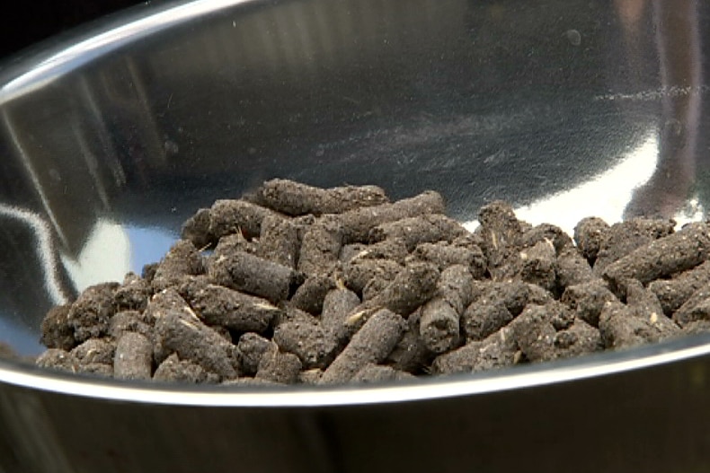 Pellets developed in Kings Park used to seed mine sites for rehabilitation.