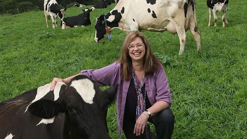 Lynne Strong with cows