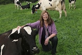 Lynne Strong with cows