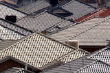 Rooftops with colourful tiles shine in the sun.
