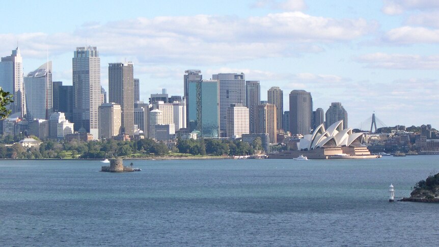 Sydney city skyline with tall buildings. (Clarissa Thorpe)