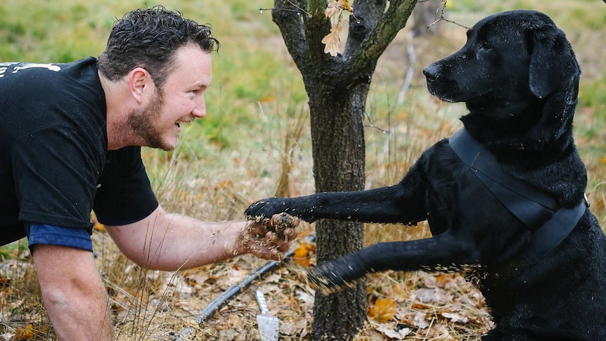 Jayson Mesman with his first rescued dog Samson hunting for truffles.