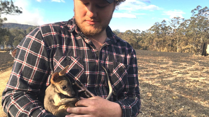 Harry Bowling with the baby wallaby