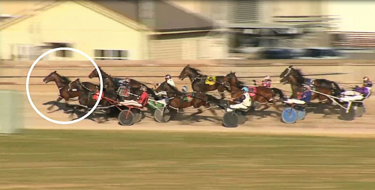 A horse highlighted with a circle pulls in front of others in a race.