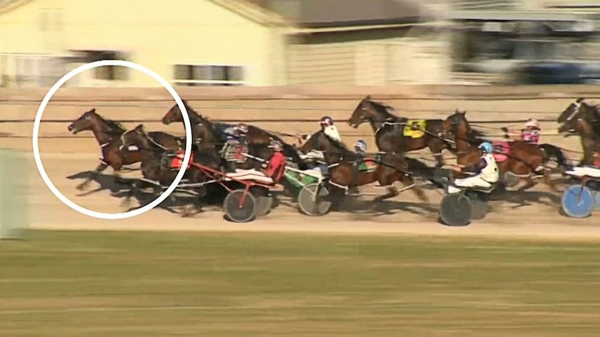 A horse highlighted with a circle pulls in front of others in a race.