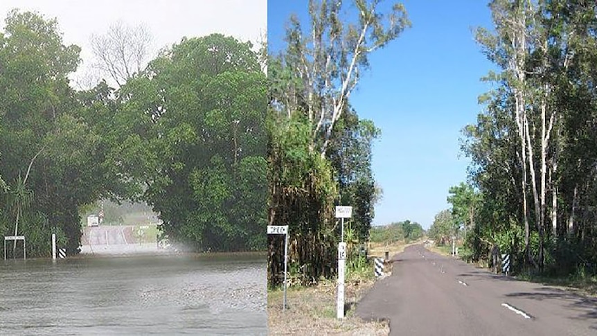 Sacred Coomalie trees cut down by government contractor