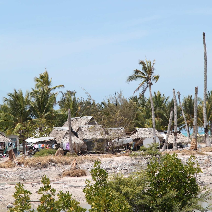 A view of an island with damaged palm trees.