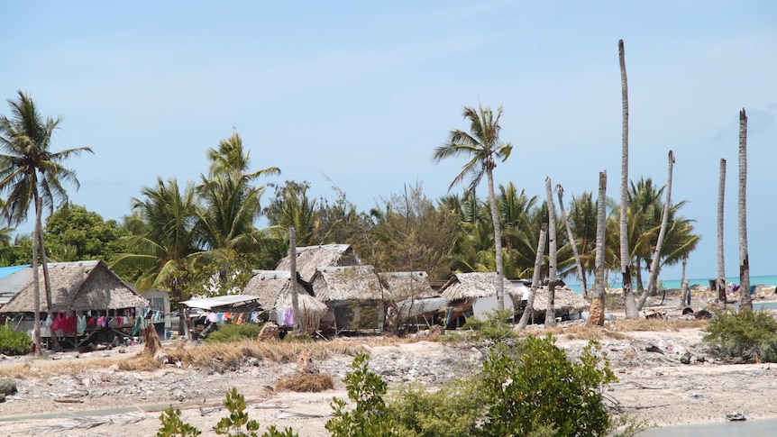 A view of an island with damaged palm trees.