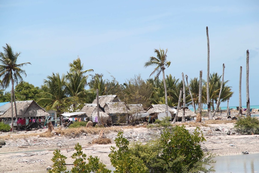 A view of an island with damaged palm trees.