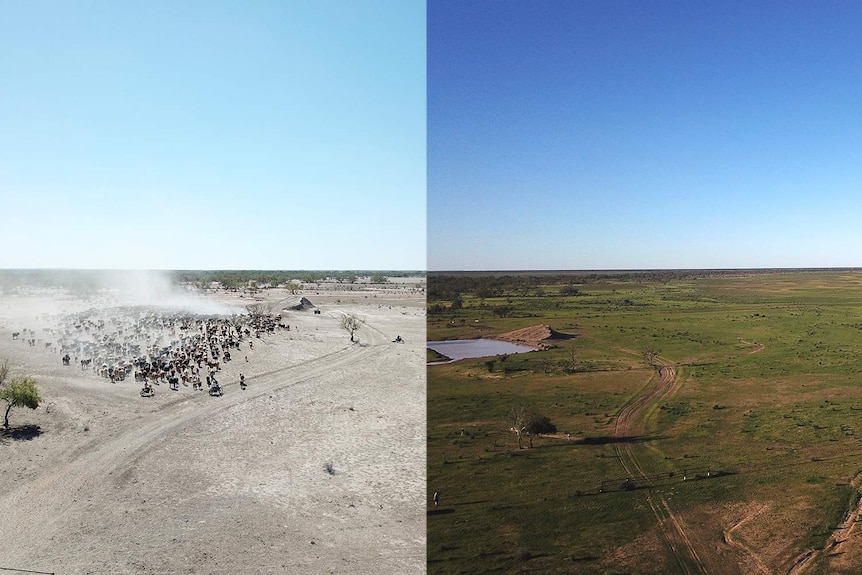 Comparison shot of Bulloo Downs before and after the rain