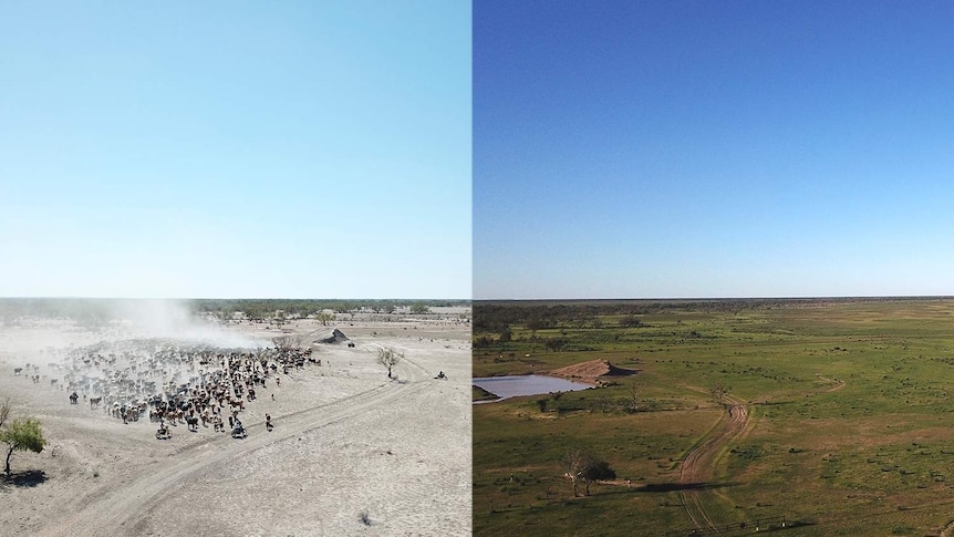 Comparison shot of Bulloo Downs before and after the rain