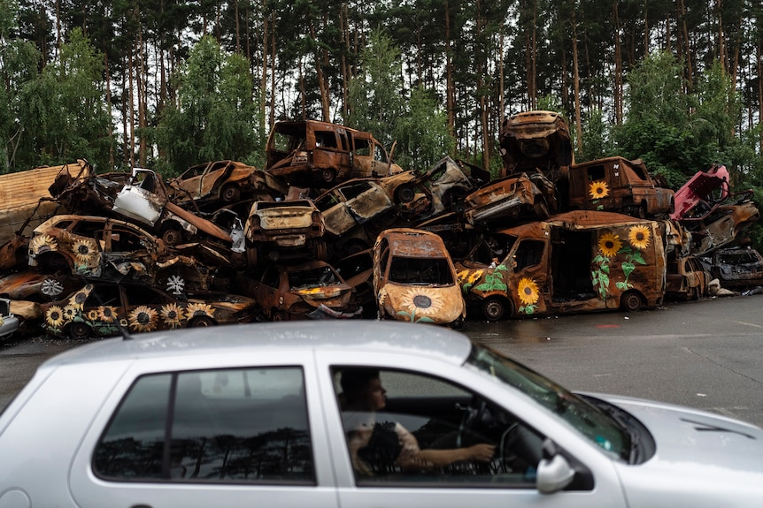 A sedan with two people sitting in it passes a big pile of rusty car wrecks on the roadside