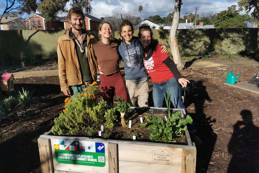 A group of people standing in a community garden with raised vegetable boxes