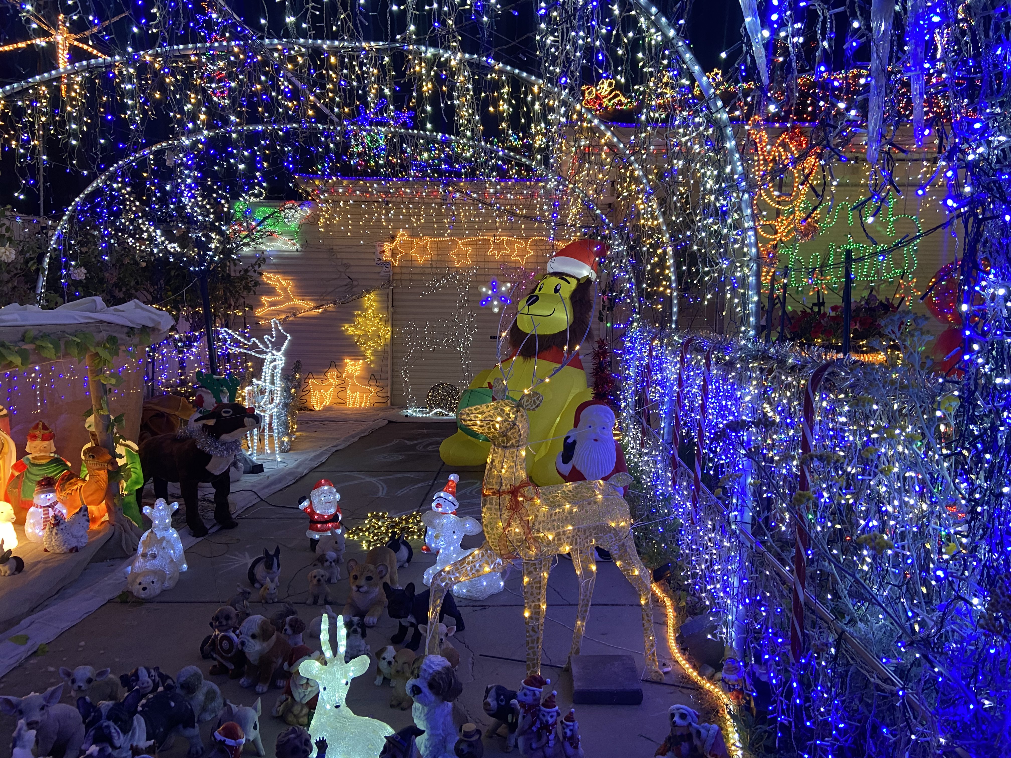 Uma entrada de automóveis repleta de luzes de Natal e um leão inflável