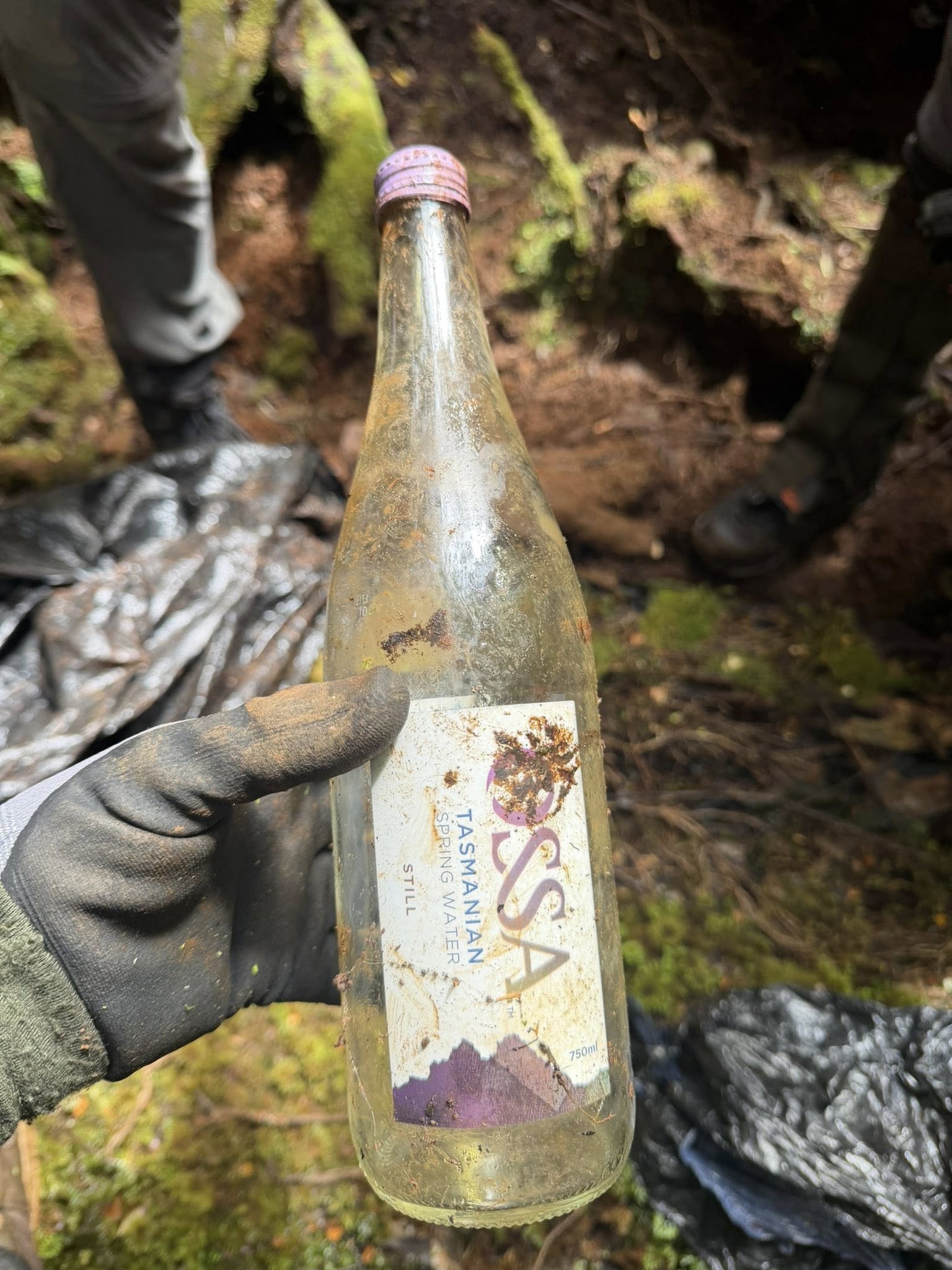 An empty and dirty glass mineral water bottle held up in a forest.