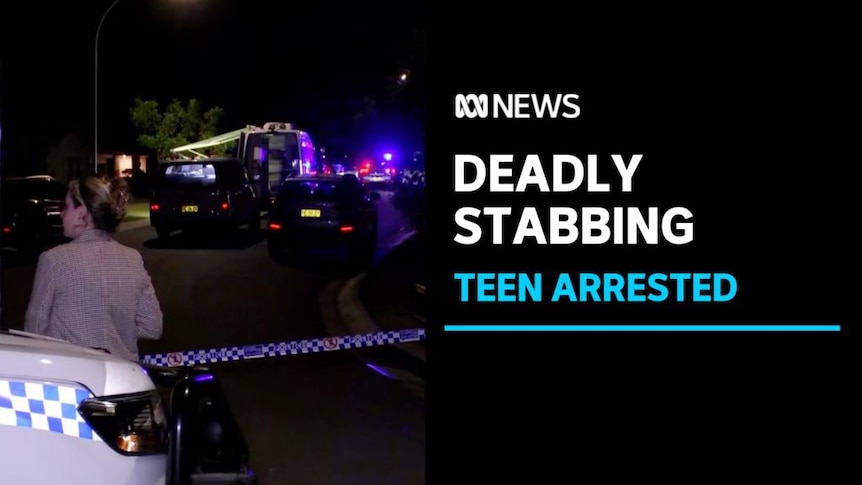 Deadly Stabbing, Teen Arrested: A nightime crime scene with police vehicles and police tape.