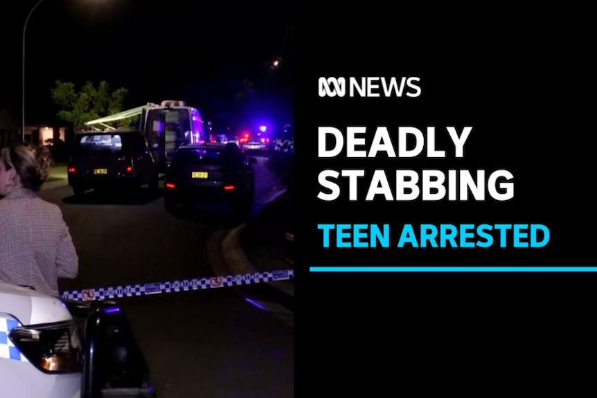 Deadly Stabbing, Teen Arrested: A nightime crime scene with police vehicles and police tape.