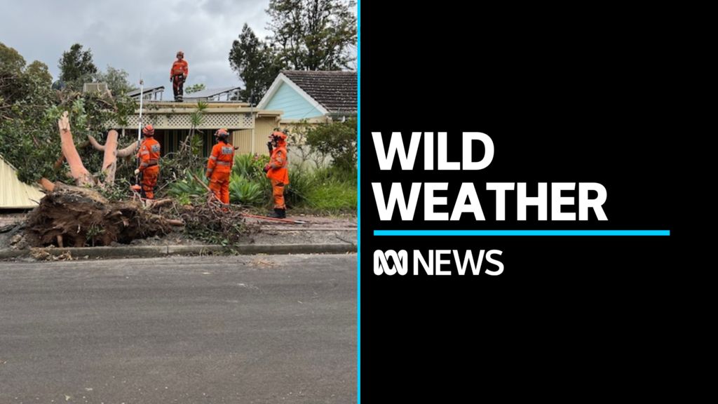Tens of thousands still without power in South Australia - ABC News