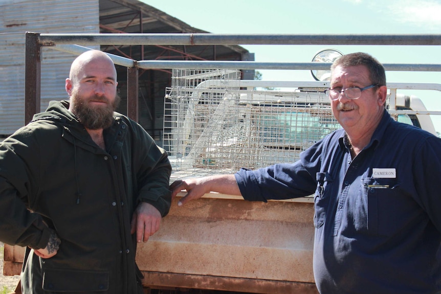 Daniel and Cameron Christensen stand at the back of a farm ute carrying cat traps.