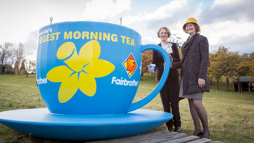 Hobart's biggest tea cup.
