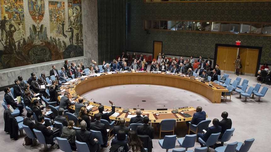 Members of the UN Security Council sitting in the chamber.