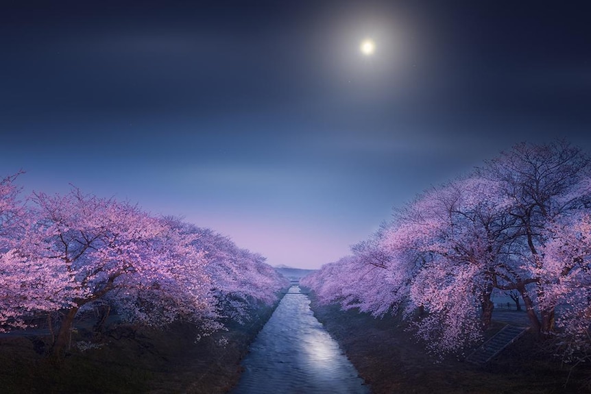 Riverside of Funakawa in Spring por Takanobu Kurosaki - Fotógrafo de astronomía de personas y espacio del año 2022