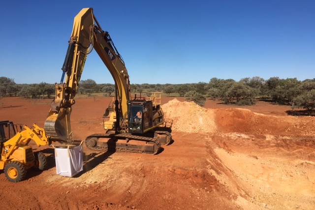 A bob cat digs dirt in central Australia.