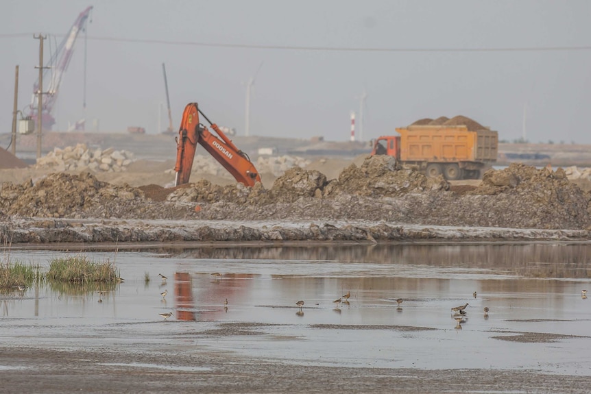 Construction and wetland