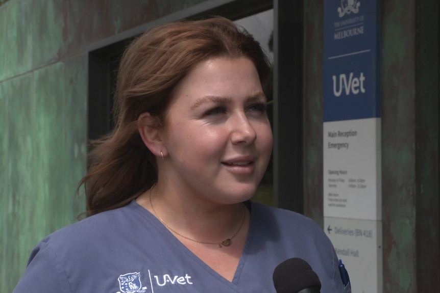 a woman with brown hair wearing scrubs that say "u-vet"