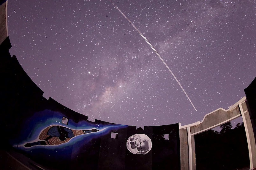 A starry sky above a mural of an emu.