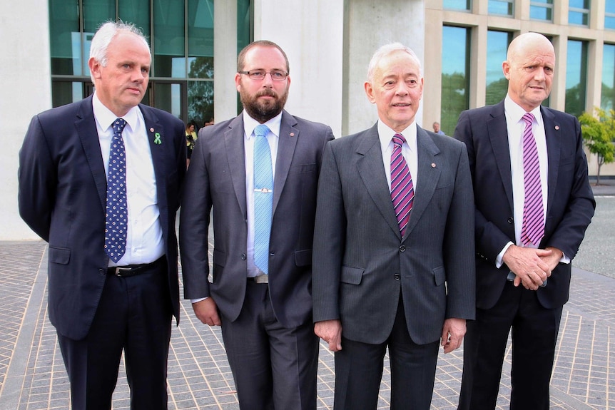 John Madigan, Ricky Muir, Bob Day and David Leyonhjelm stand together for a photo outside Parliament House.