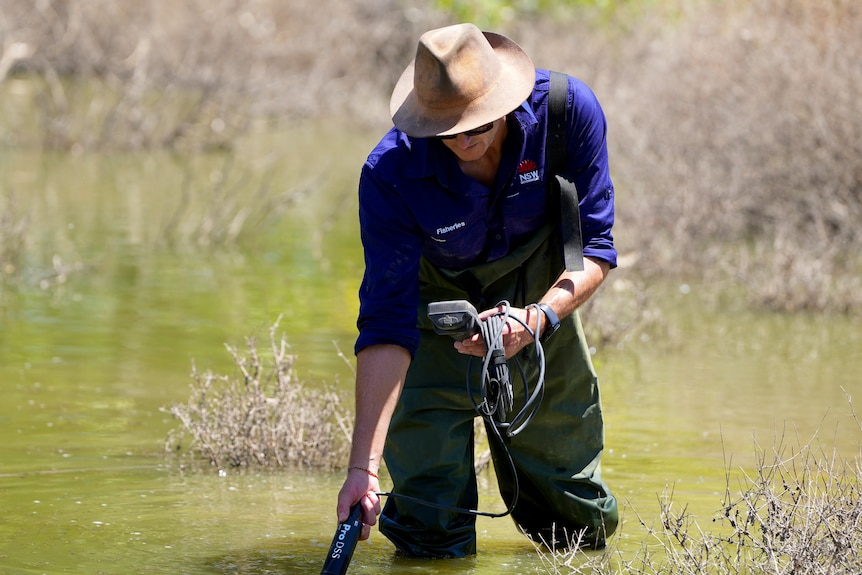 A white man in a blue shirt and waterproof overalls testing the water's oxygen levels.